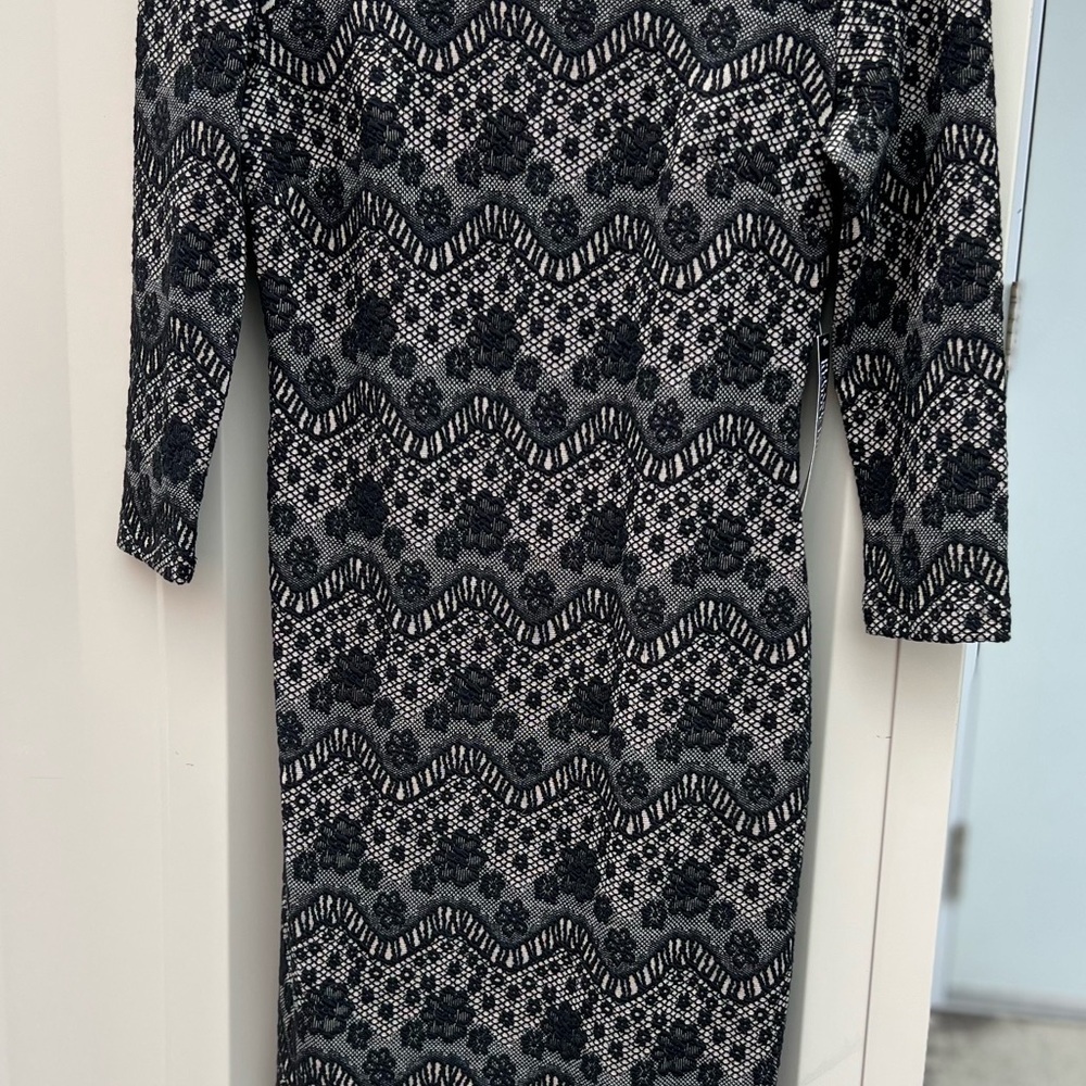New York & Company Black and Tan Sheath Dress 3/4 Sleeve